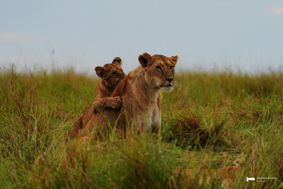 Image of  etc.