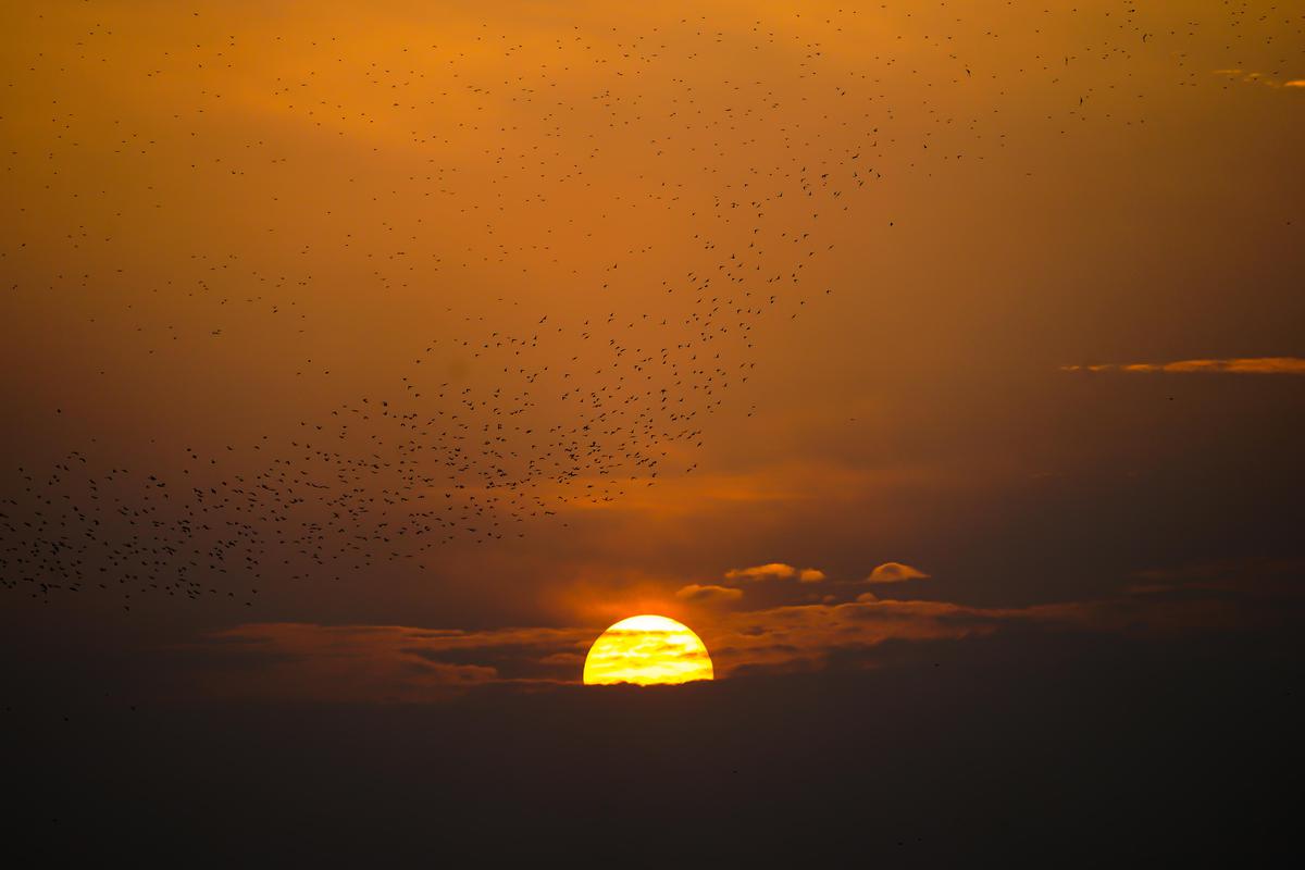 Image of Atmospheric phenomenon, Sky, Afterglow, Sunset, Sunrise, Orange etc.