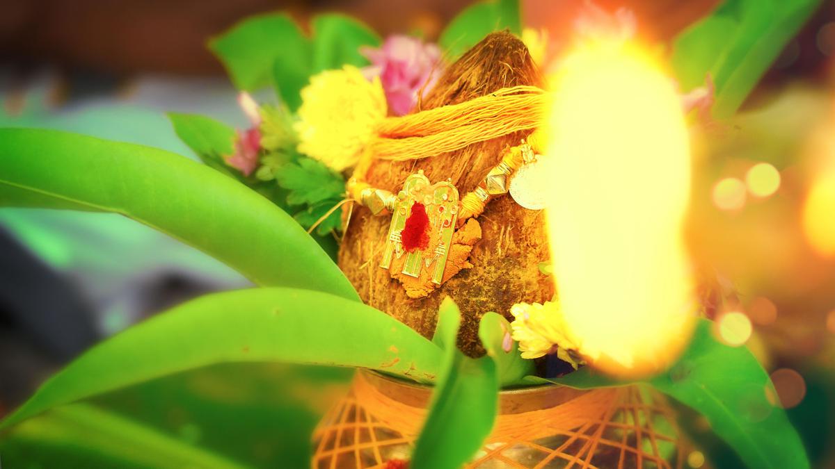 Image of Organism, Plant, Flower, Grass, Botany, Leaf etc.