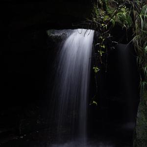 Images
