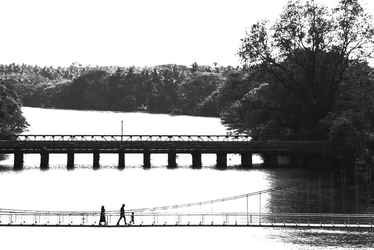 Image of Sky, Tree, Natural landscape, Black-and-white, Water, Plant etc.