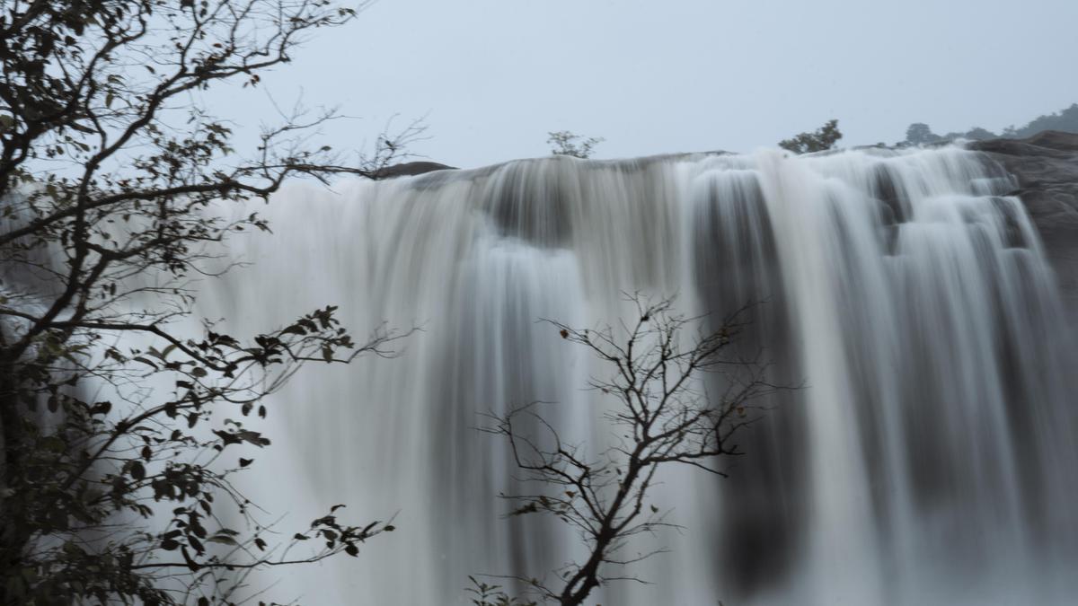 Image of Nature, Atmospheric phenomenon, Sky, Tree, Natural landscape, Water etc.
