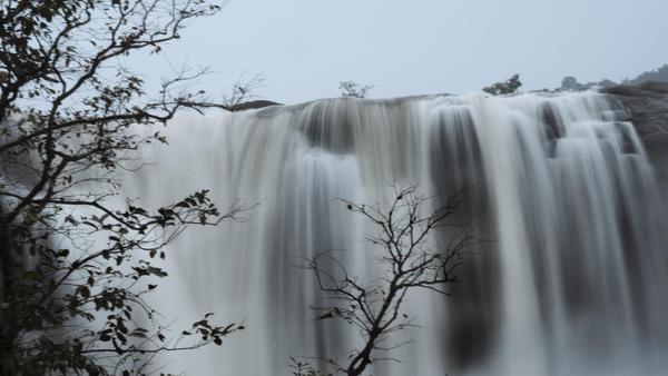 Image of Nature, Atmospheric phenomenon, Sky, Tree, Natural landscape, Water etc.