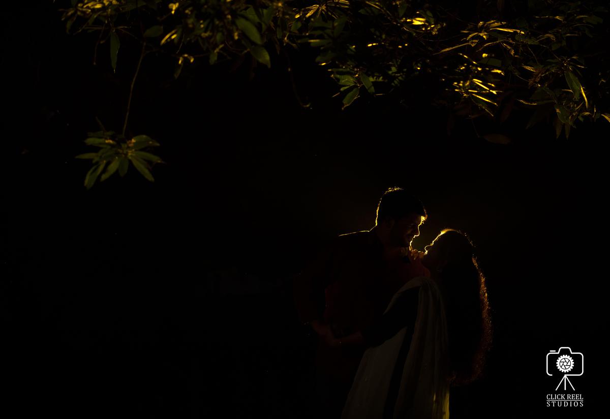 Image of Yellow, Plant, Flash photography, Twig etc.