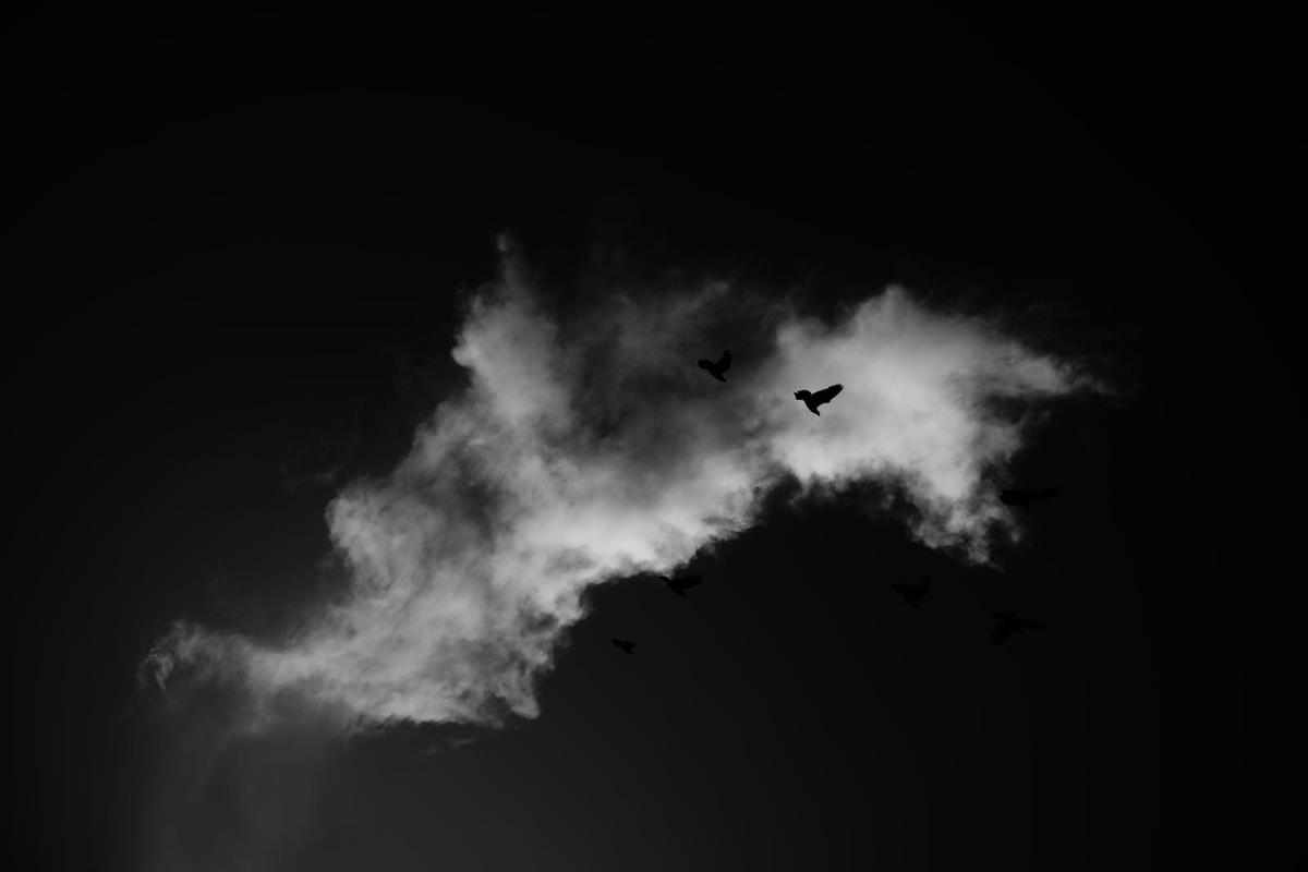 Image of  etc.