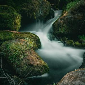Images