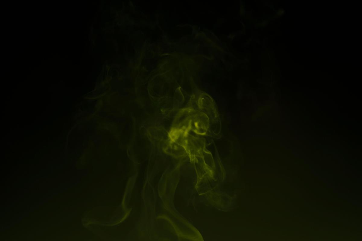 Image of Light, Green, Darkness, Black, Organism etc.