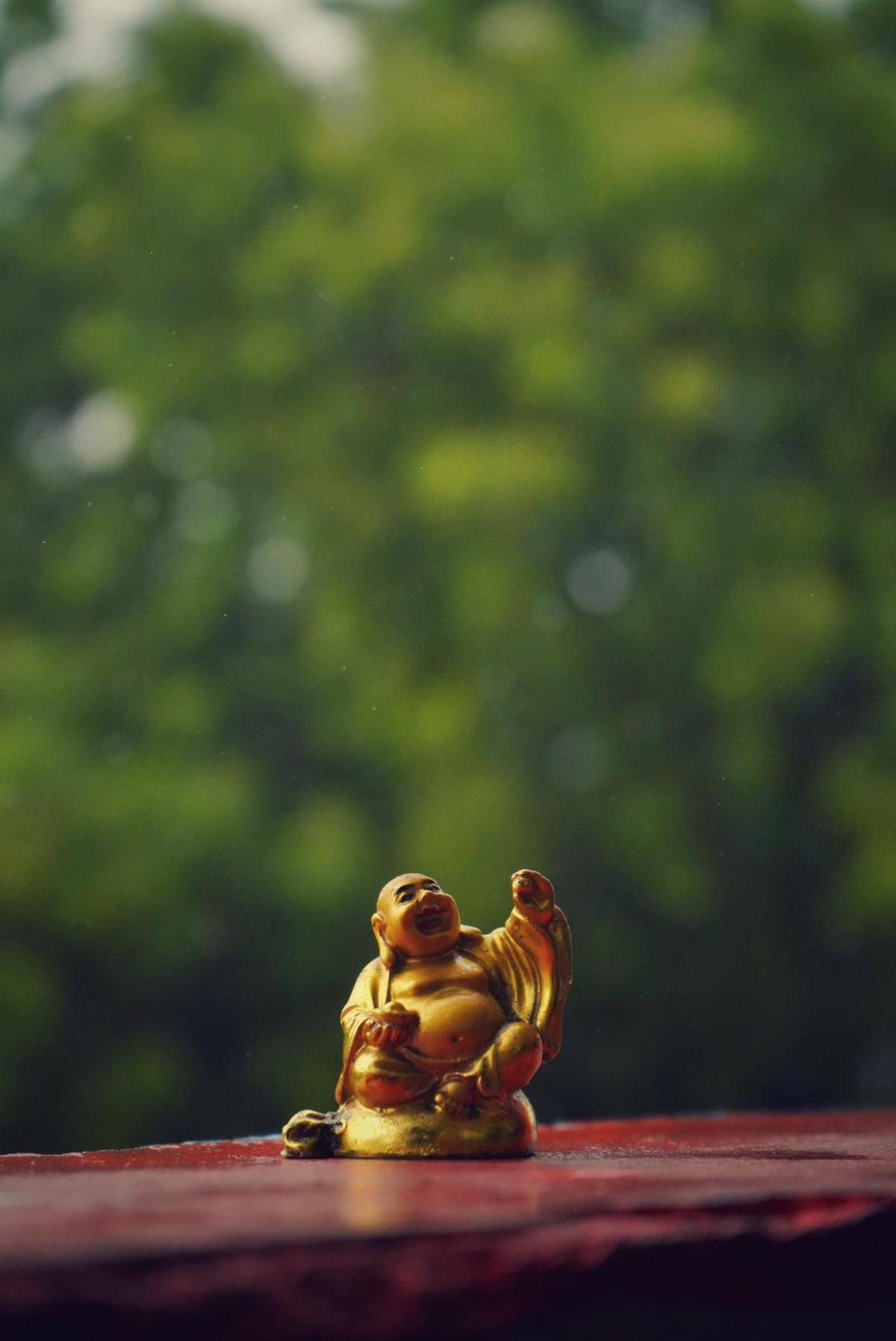 Image of Sky, Green, Yellow etc.