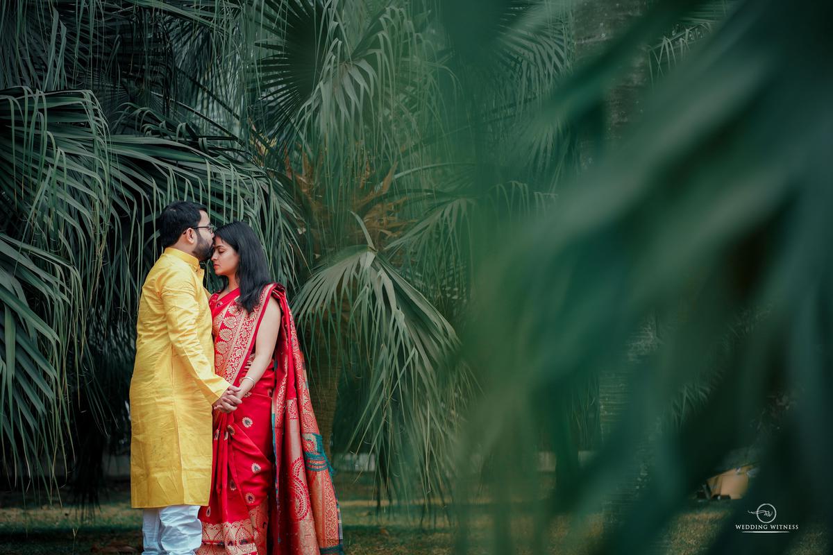 Image of Tree, Yellow, Outerwear, Bride, Happy, Plant etc.