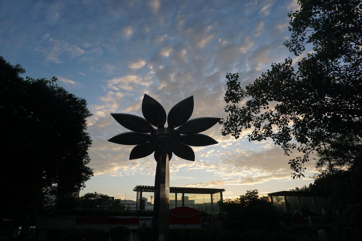 Image of Sky, Tree, Cloud, Vegetation, Plant, Flower etc.
