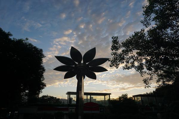 Image of Sky, Tree, Cloud, Vegetation, Plant, Flower etc.