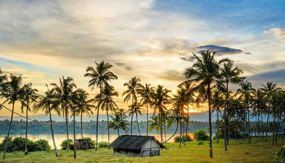Image of Nature, Sky, Morning, Tree, Cloud, Natural landscape etc.