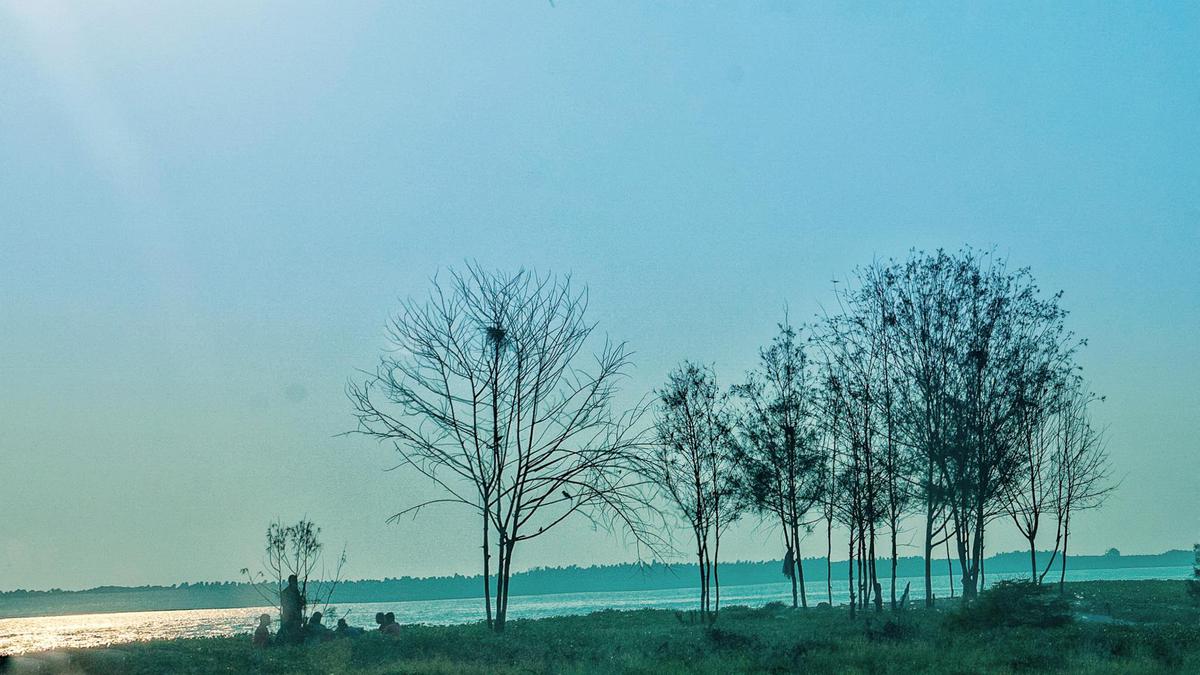 Image of Nature, Atmospheric phenomenon, Sky, Tree, Cloud, Green etc.