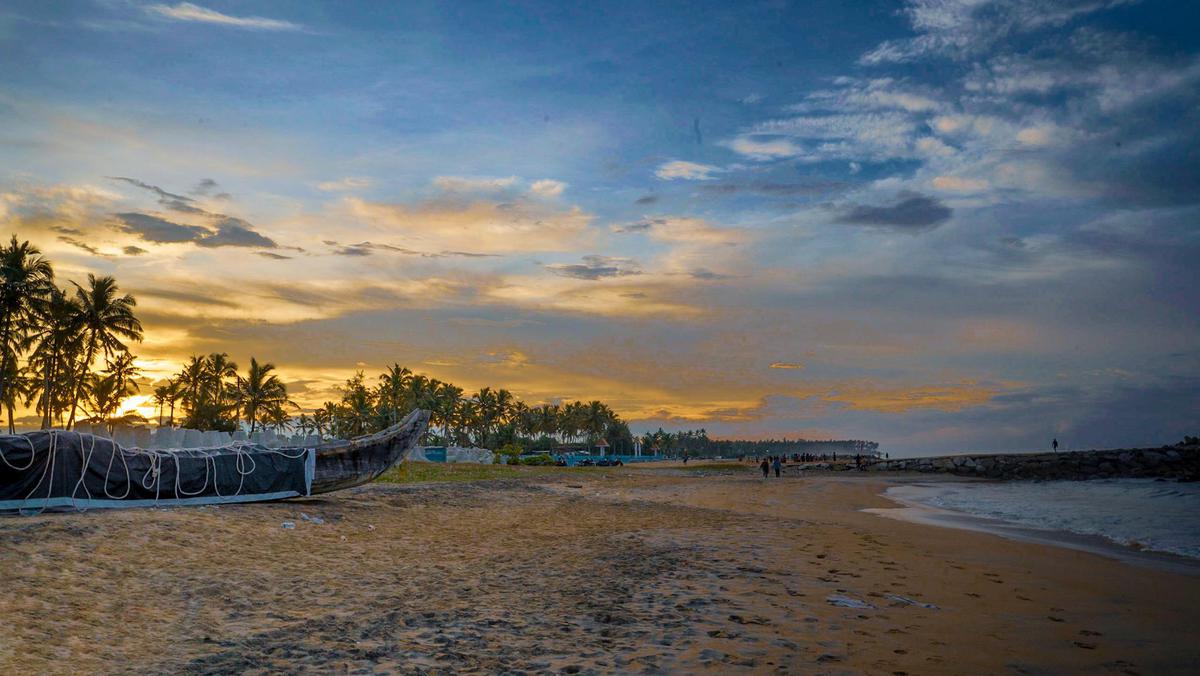Image of Sky, Tree, Cloud, Evening, Horizon, Sea etc.