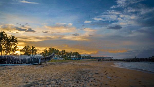 Image of Sky, Tree, Cloud, Evening, Horizon, Sea etc.