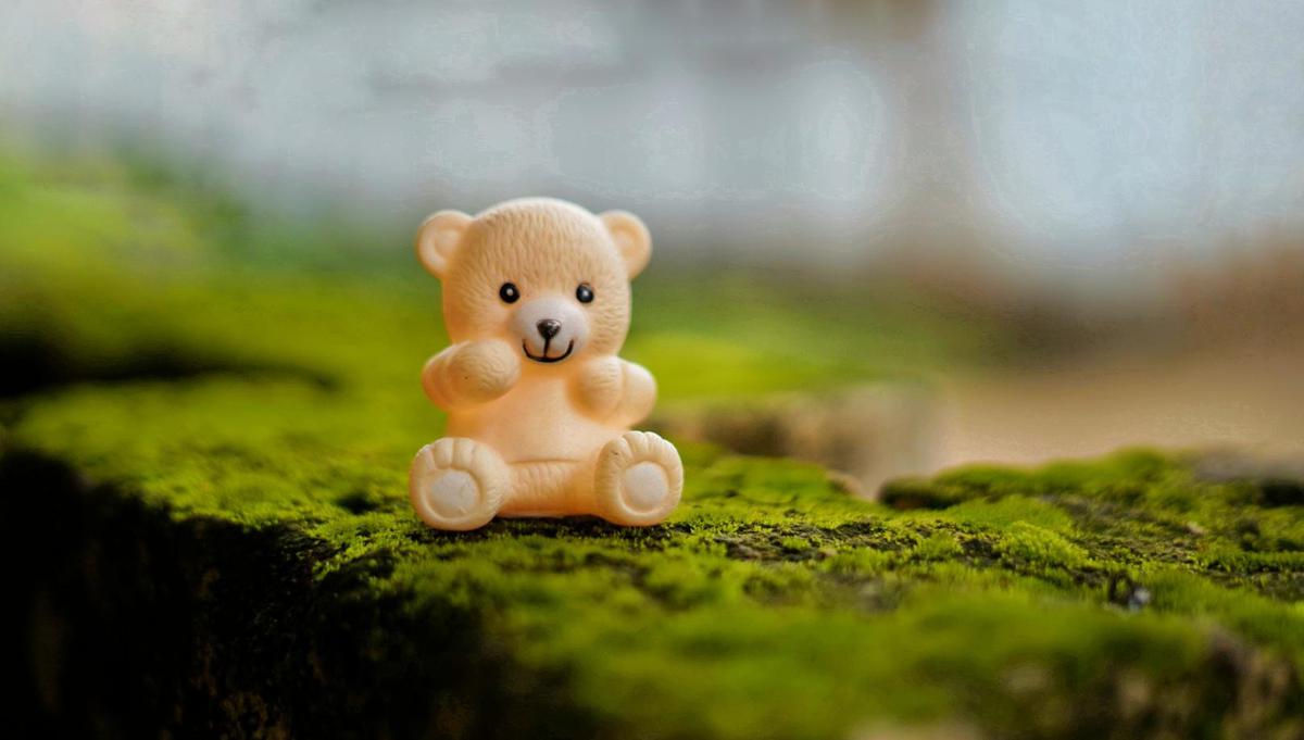 Image of Grass, Figurine, Toy, Bear, Teddy bear etc.