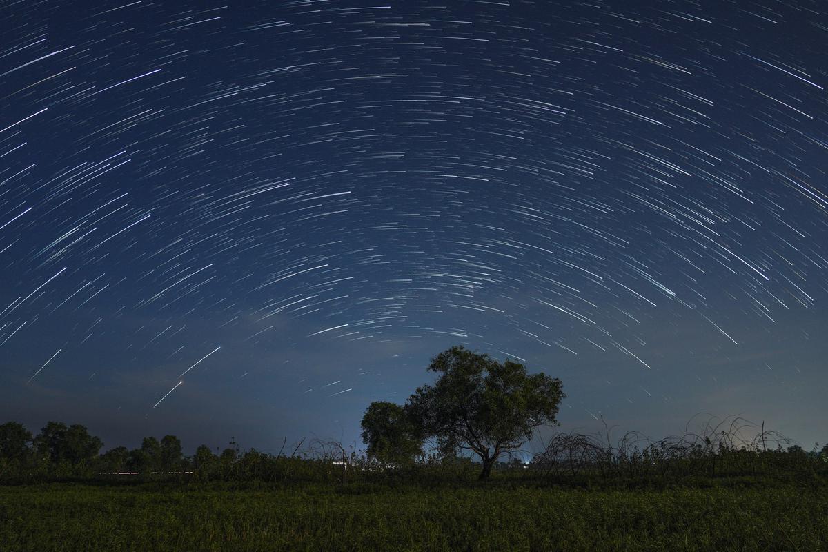 Image of Atmospheric phenomenon, Sky, Tree, Cloud, Natural landscape, Night etc.