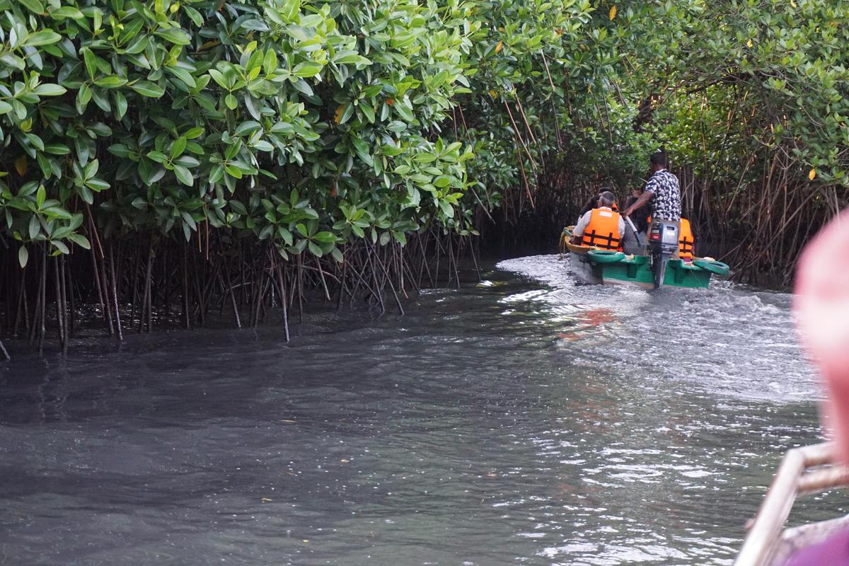 Image of Tree, Water, Plant, Body of water, Water resources, Watercourse etc.