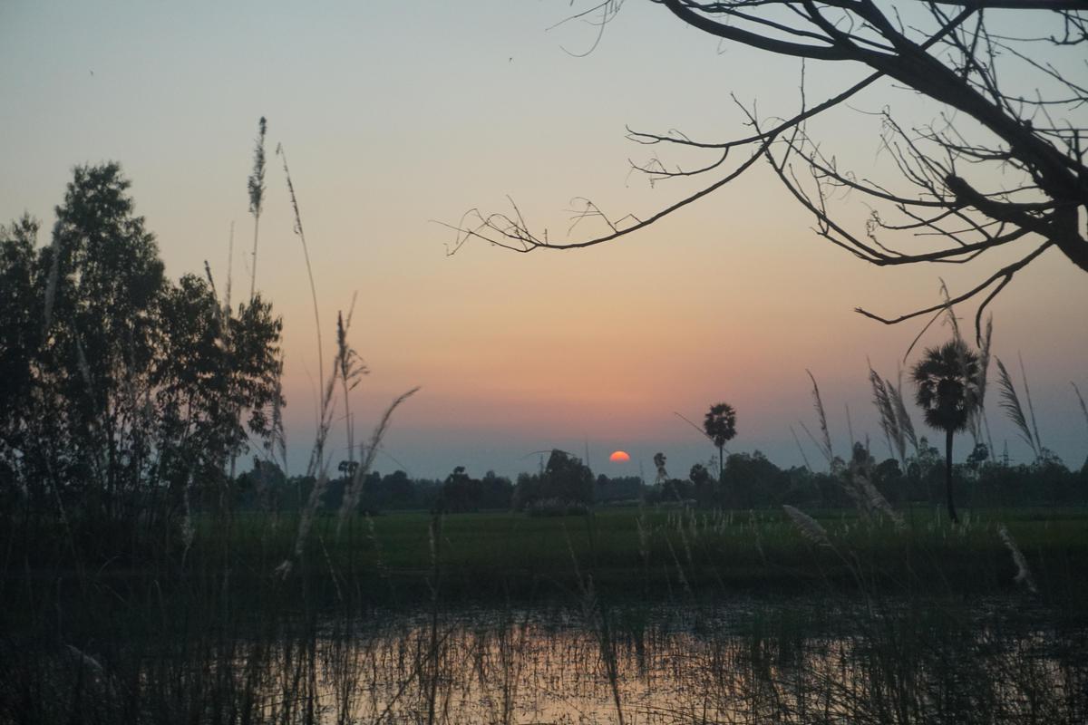 Image of Sky, Afterglow, Tree, Cloud, Branch, Natural landscape etc.