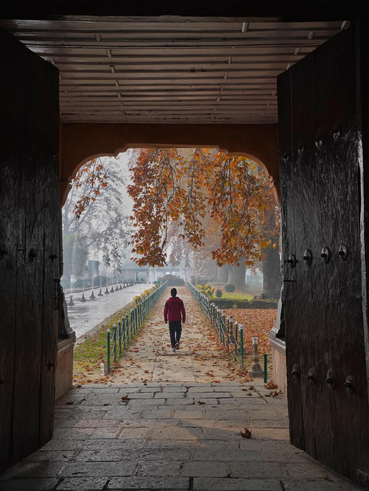 Image of Sky, Wood, Road surface etc.