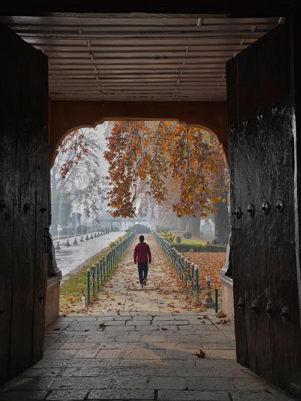 Image of Sky, Wood, Road surface etc.