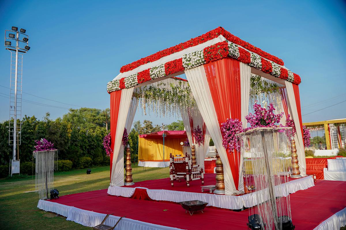 Image of Sky, Decoration, Red, Plant etc.