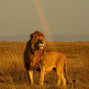 Image of  etc.
