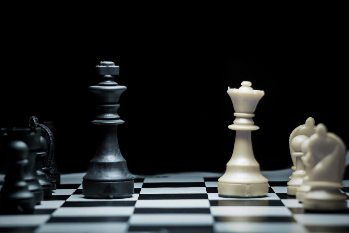 Professional and amateur photo Gallery