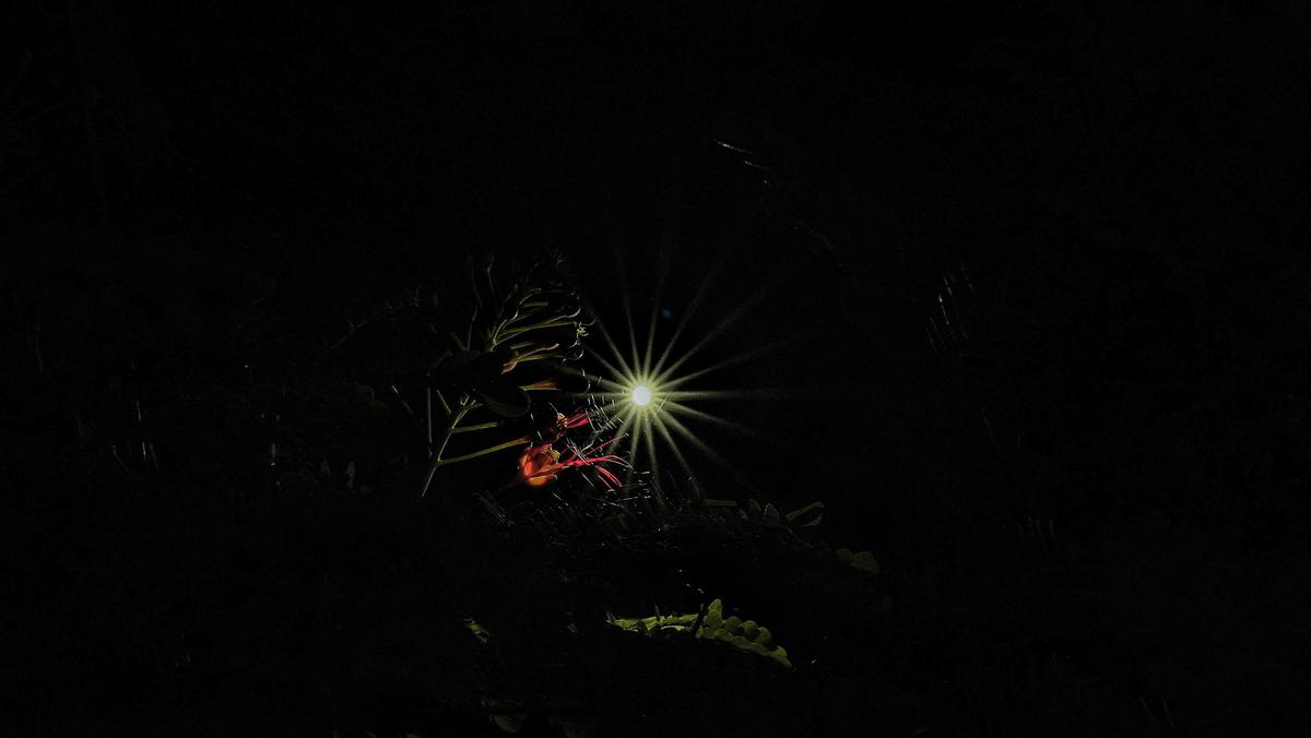 Image of Night, Darkness, Fireworks, Midnight, Space, Carmine etc.