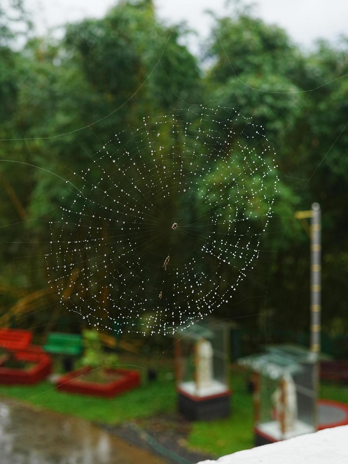 Image of  etc.
