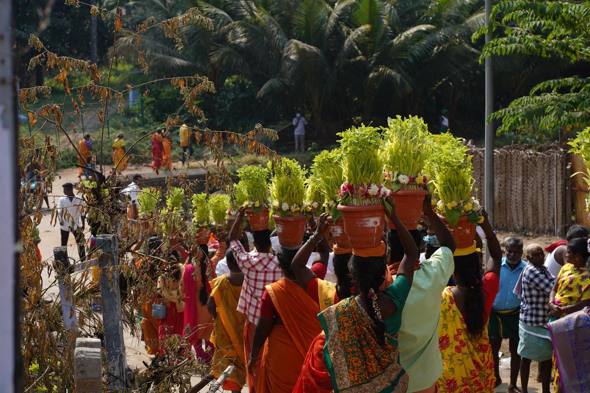 Image of Temple, Tree, Plant etc.