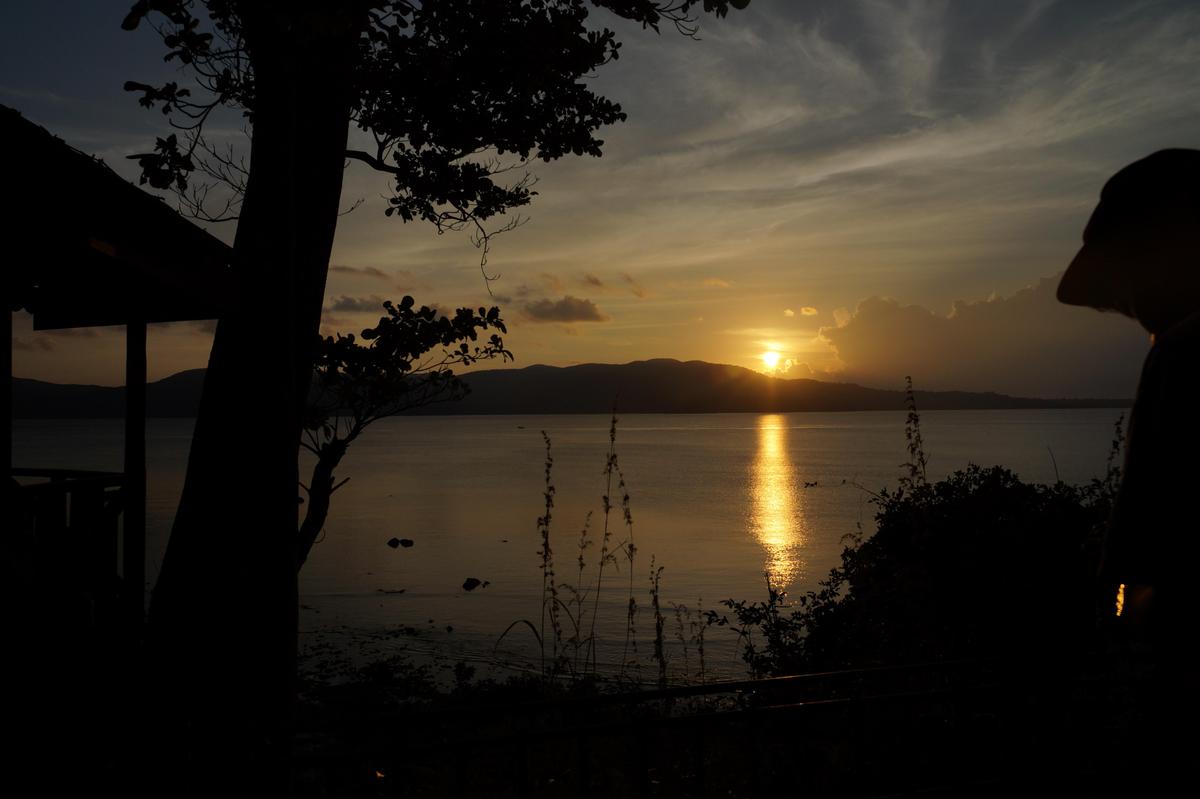 Image of Nature, Sky, Morning, Sunset, Tree, Sunrise etc.