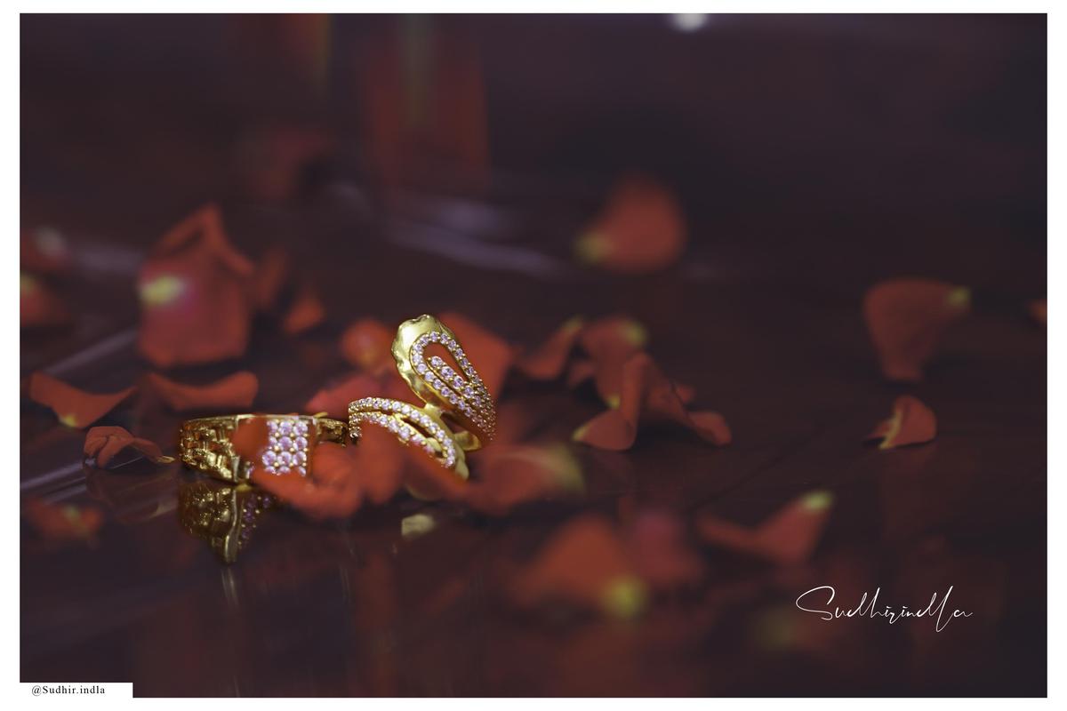 Image of Insect, Terrestrial plant, Petal etc.