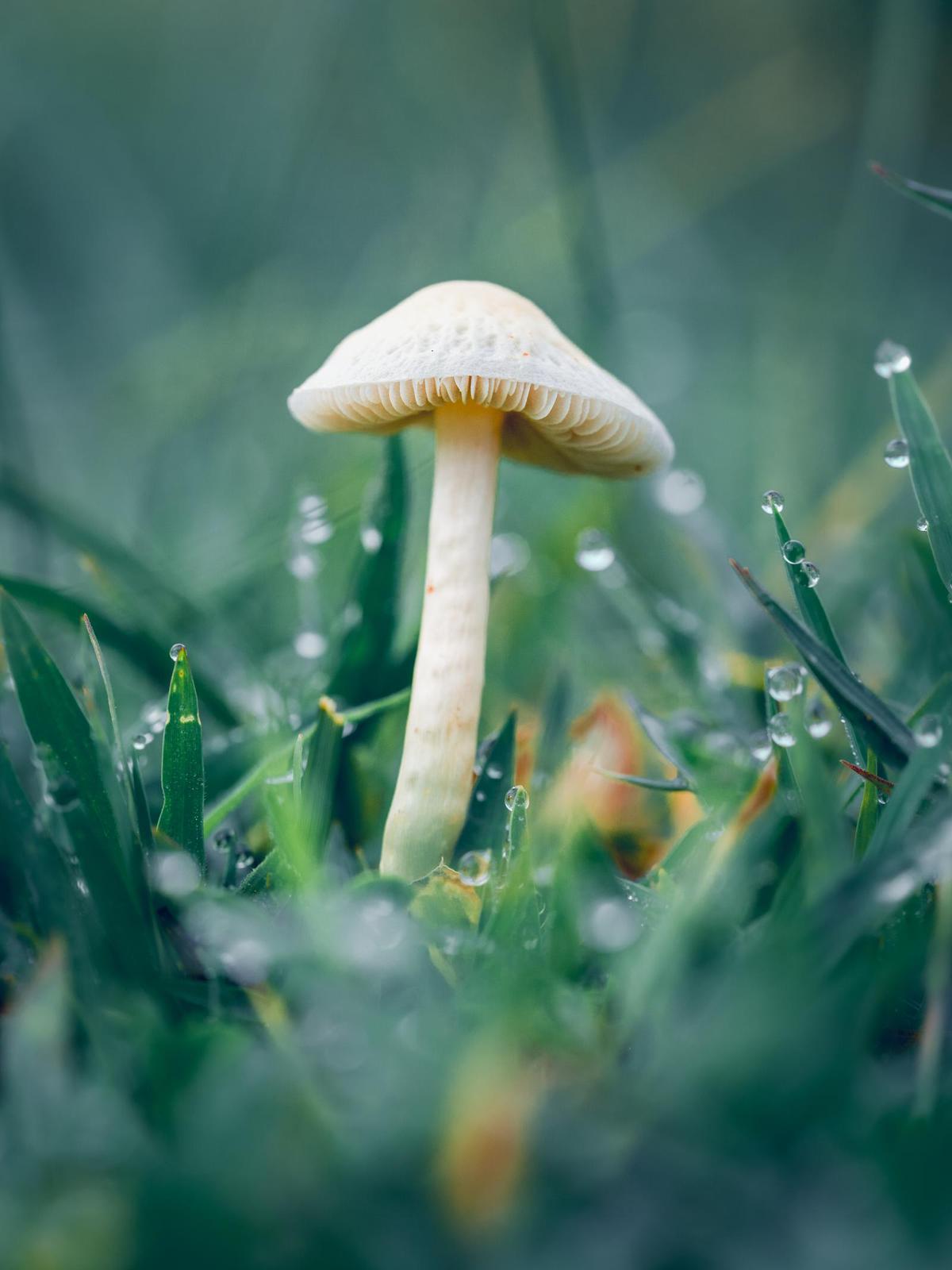 Image of  etc.