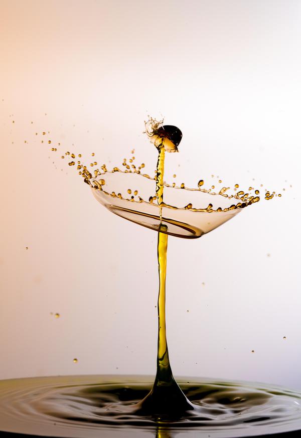 Image of Water, Plant, Flower, Twig, Liquid, Stemware etc.