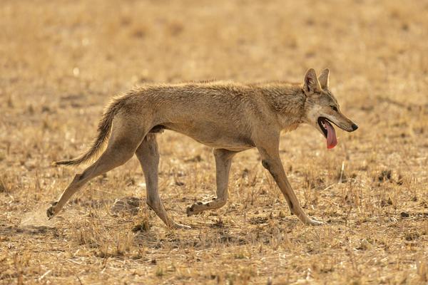 Image of  etc.