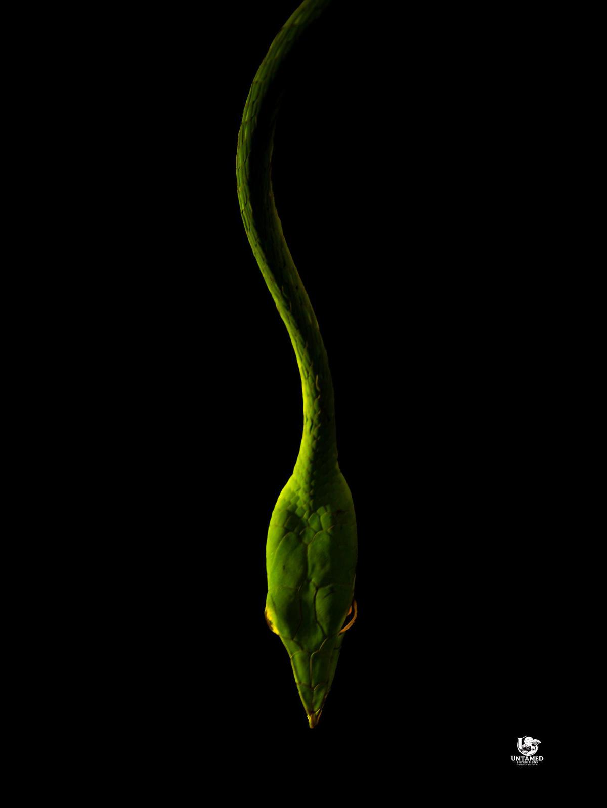 Image of  etc.