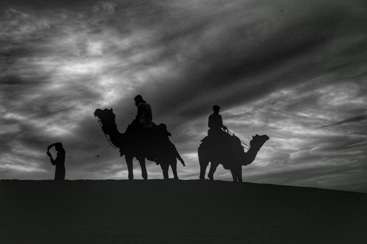 Image of Sky, Landscape, Cloud, Black-and-white, Vertebrate, Mammal etc.