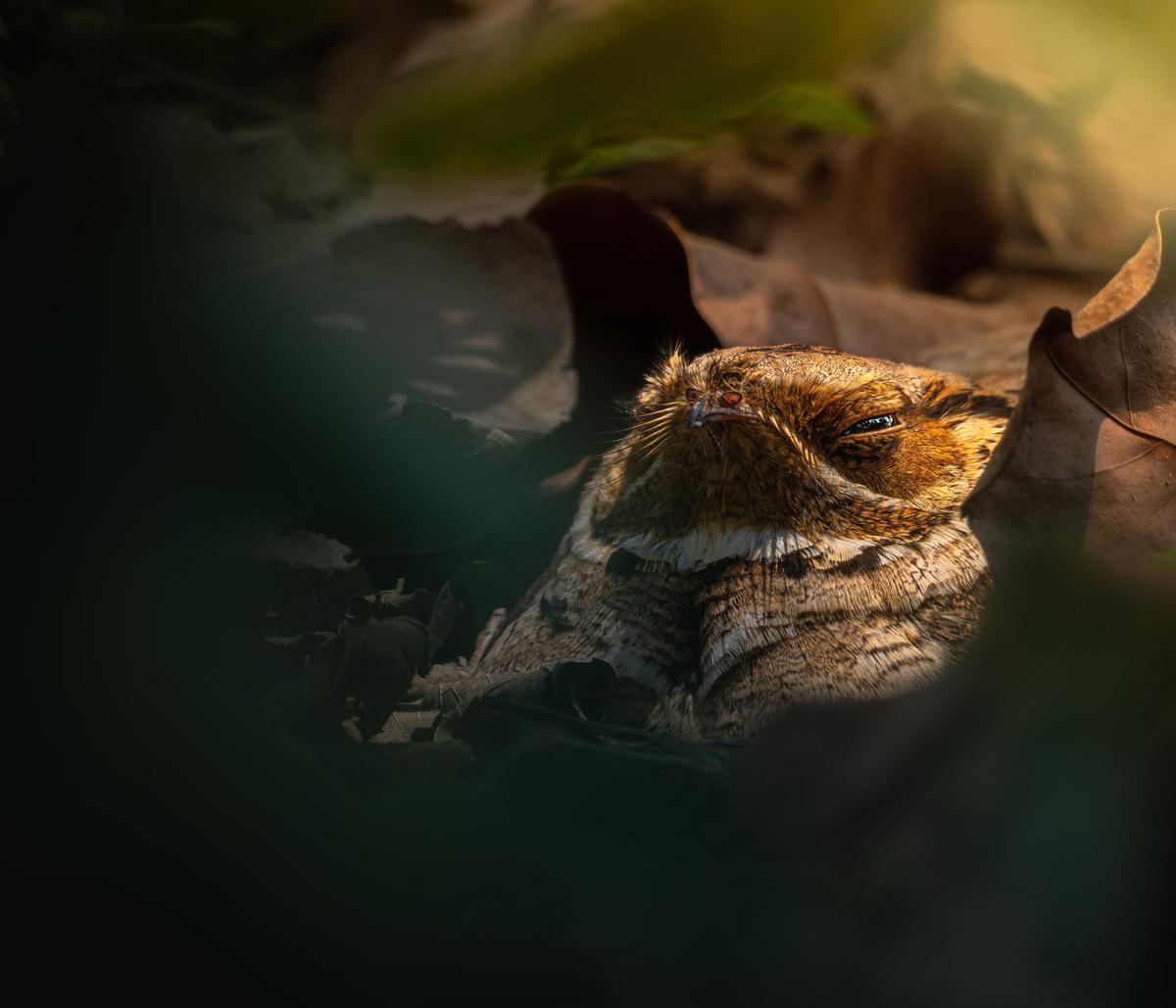 Image of  etc.