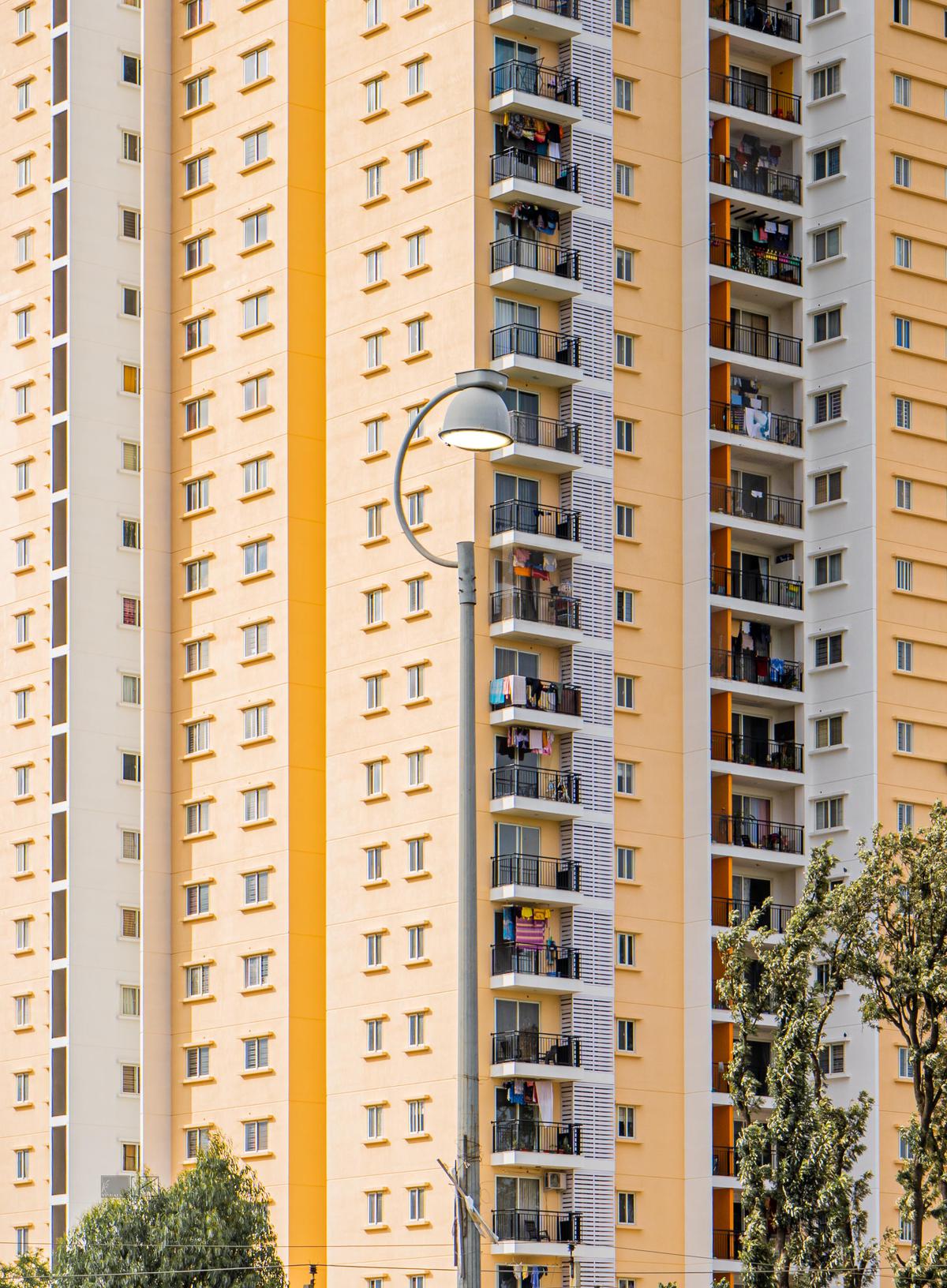 Image of Tree, Line, Architecture, Building, Plant, Window etc.