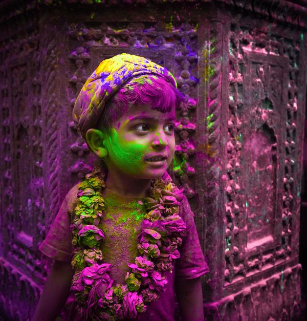Image of Green, Purple, Pink, Magenta, Violet etc.