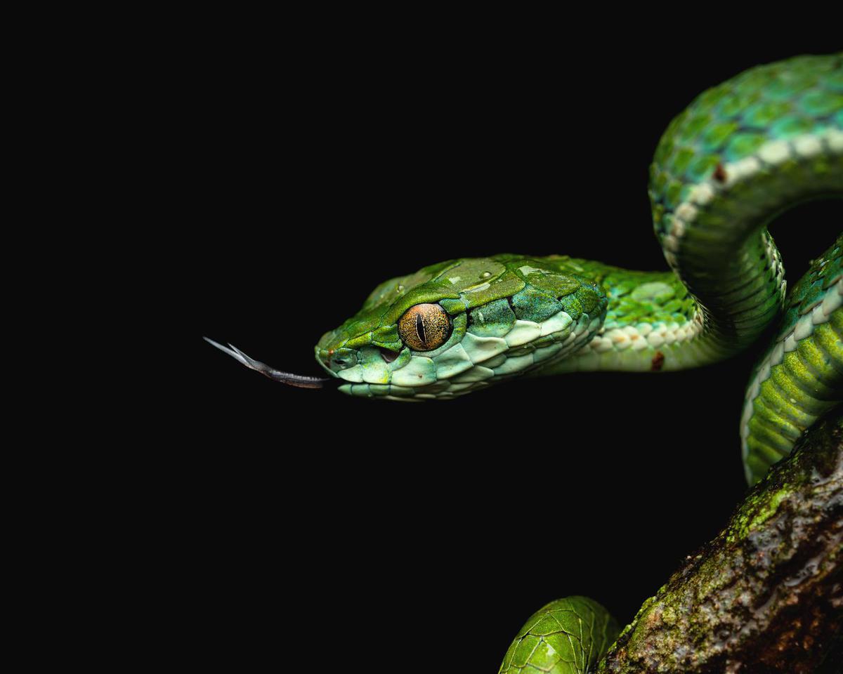 Image of etc.