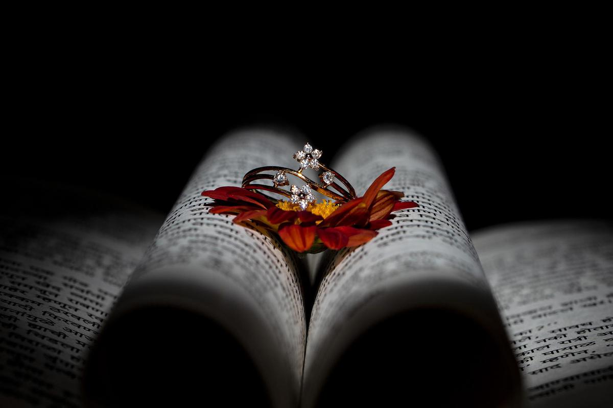 Image of Plant, Insect, Arthropod, Publication, Book, Pollinator etc.