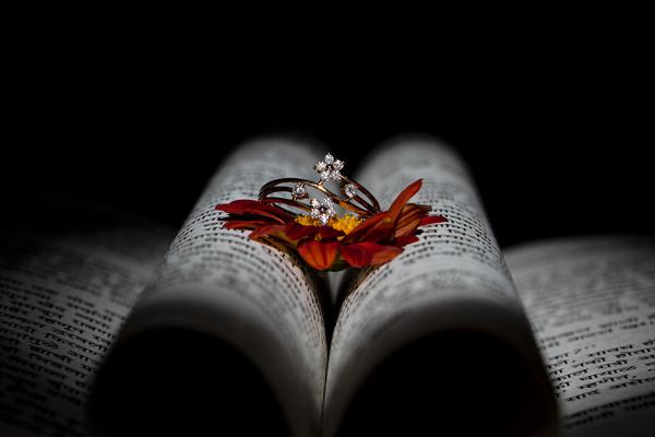 Image of Plant, Insect, Arthropod, Publication, Book, Pollinator etc.