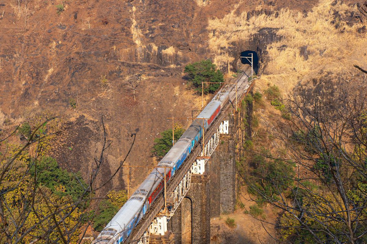 Image of Tree, Plant, Train, Slope, Rolling stock etc.