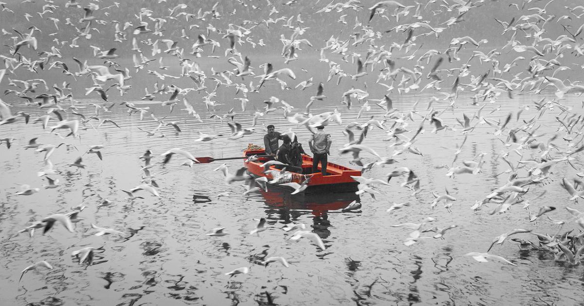 Image of Boat, Watercraft, Boating, Boats and boating--Equipment and supplies etc.