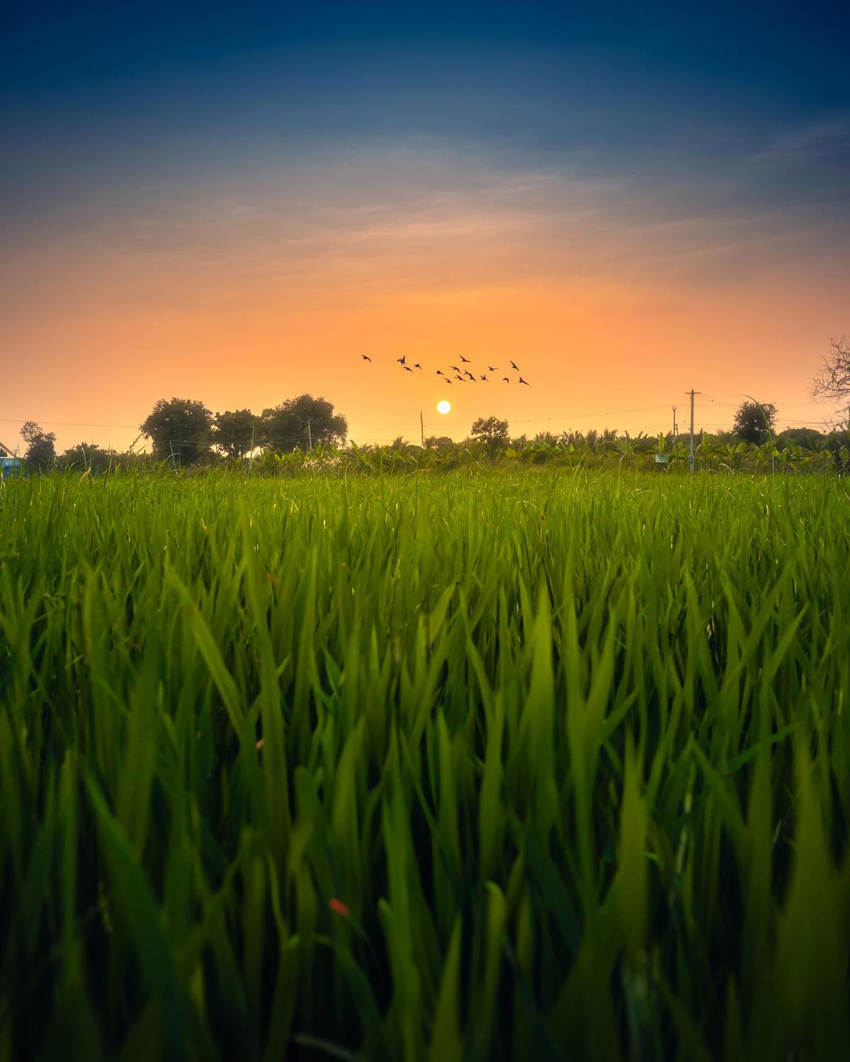 Image of etc.