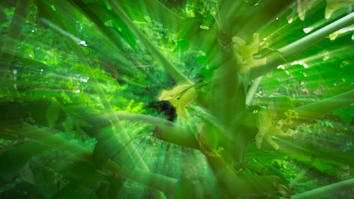Image of  etc.