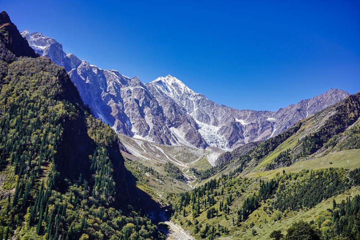 Image of Highland, Sky, Mountain, Tree, Natural landscape, Plant etc.