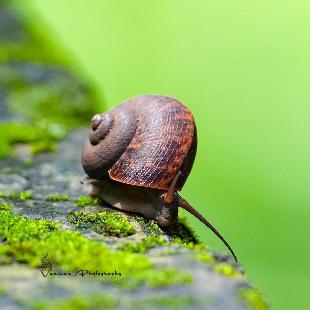 Image of etc.